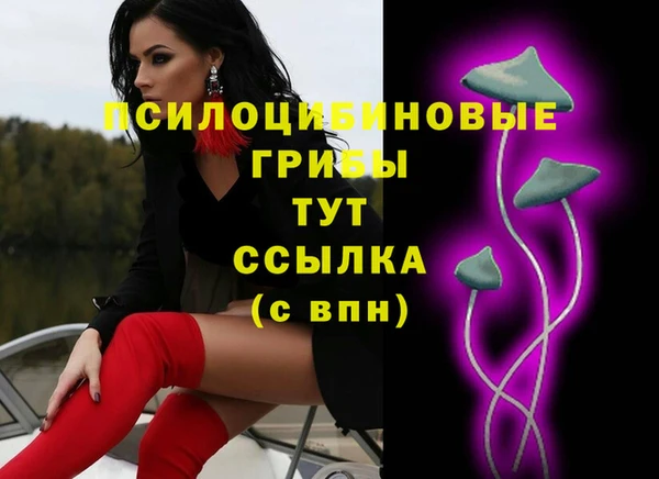 крисы Белокуриха