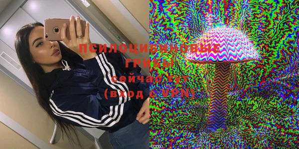 крисы Белокуриха