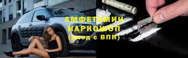 крисы Белокуриха