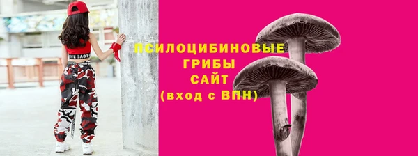 крисы Белокуриха