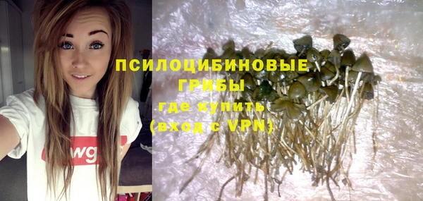 крисы Белокуриха