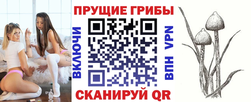 hydra маркетплейс  Казань  это телеграм  Псилоцибиновые грибы мухоморы 
